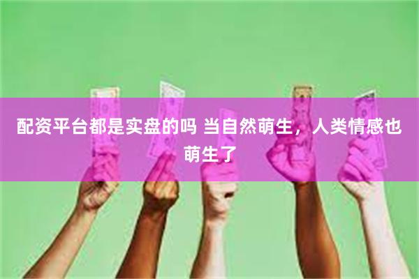 配资平台都是实盘的吗 当自然萌生，人类情感也萌生了