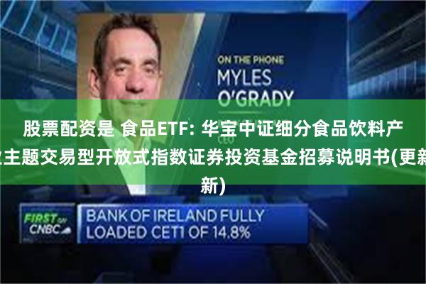 股票配资是 食品ETF: 华宝中证细分食品饮料产业主题交易型开放式指数证券投资基金招募说明书(更新)