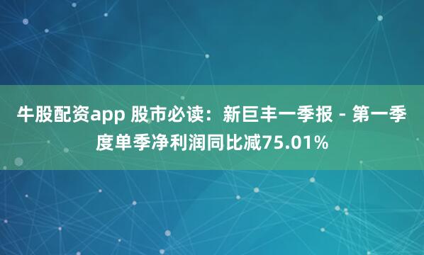 牛股配资app 股市必读：新巨丰一季报 - 第一季度单季净利润同比减75.01%