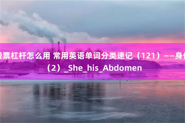 股票杠杆怎么用 常用英语单词分类速记（121）——身体（2）_She_his_Abdomen