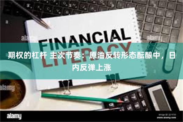 期权的杠杆 主次节奏：原油反转形态酝酿中，日内反弹上涨