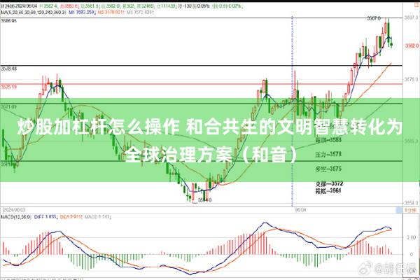 炒股加杠杆怎么操作 和合共生的文明智慧转化为全球治理方案（和音）