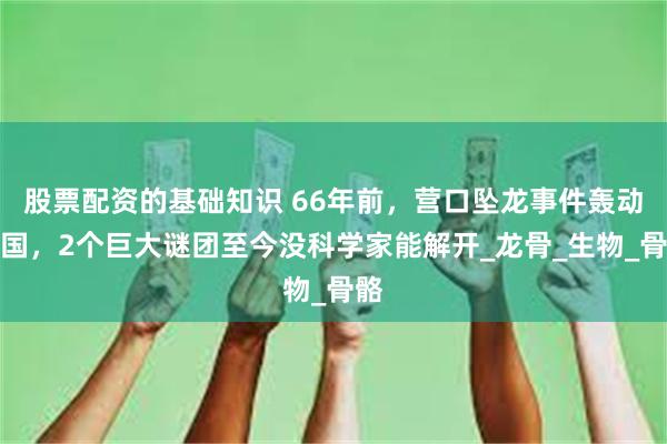 股票配资的基础知识 66年前，营口坠龙事件轰动全国，2个巨大谜团至今没科学家能解开_龙骨_生物_骨骼