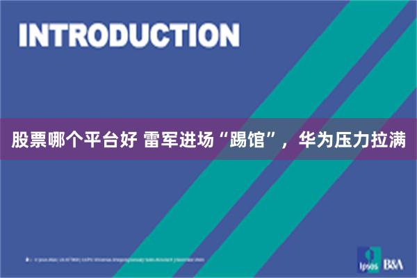 股票哪个平台好 雷军进场“踢馆”，华为压力拉满