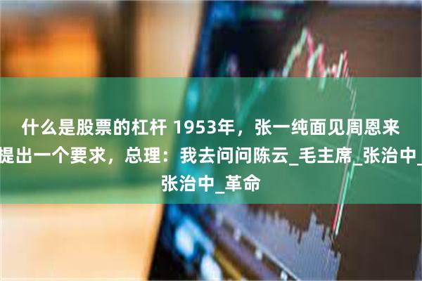 什么是股票的杠杆 1953年，张一纯面见周恩来后，提出一个要求，总理：我去问问陈云_毛主席_张治中_革命