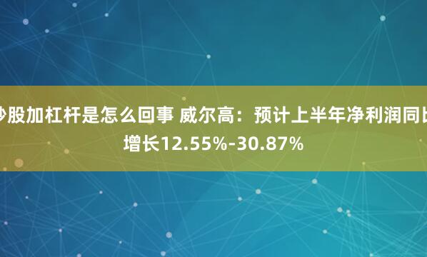 炒股加杠杆是怎么回事 威尔高：预计上半年净利润同比增长12.55%-30.87%