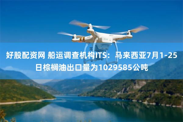 好股配资网 船运调查机构ITS：马来西亚7月1-25日棕榈油出口量为1029585公吨