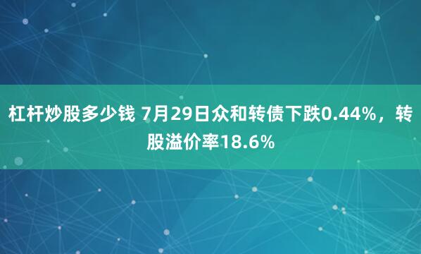杠杆炒股多少钱 7月29日众和转债下跌0.44%，转股溢价率18.6%