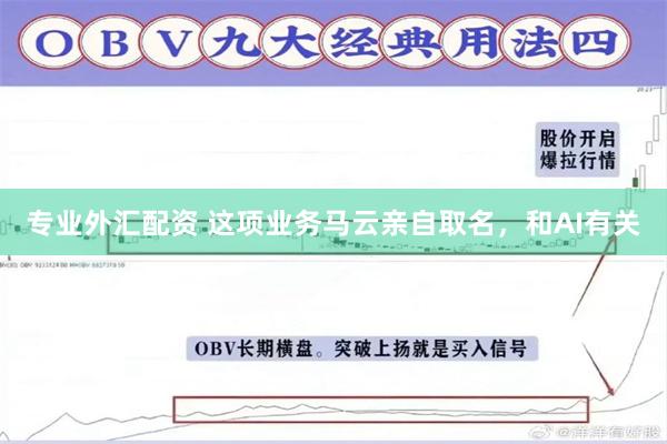 专业外汇配资 这项业务马云亲自取名，和AI有关