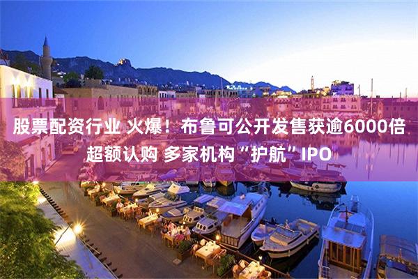 股票配资行业 火爆！布鲁可公开发售获逾6000倍超额认购 多家机构“护航”IPO