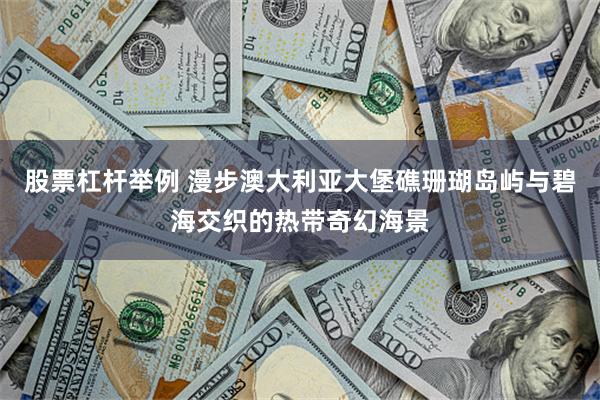 股票杠杆举例 漫步澳大利亚大堡礁珊瑚岛屿与碧海交织的热带奇幻海景