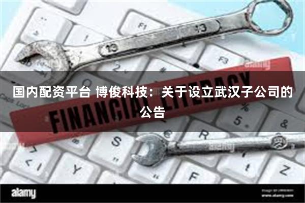 国内配资平台 博俊科技：关于设立武汉子公司的公告