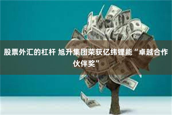 股票外汇的杠杆 旭升集团荣获亿纬锂能“卓越合作伙伴奖”